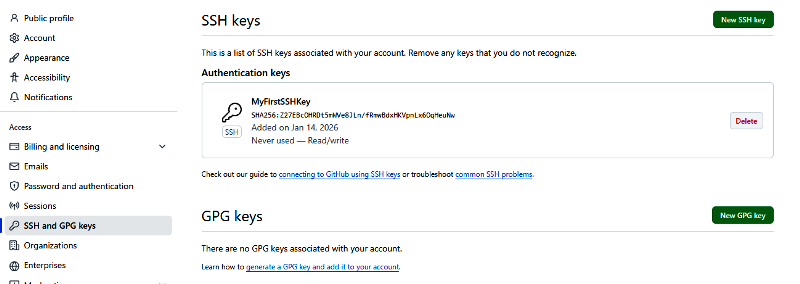 image-20260114124942164